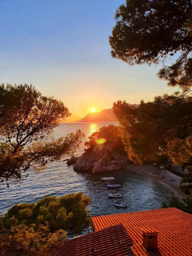 Appartement Seaview à Sveti Filip i Jakov Extérieur photo