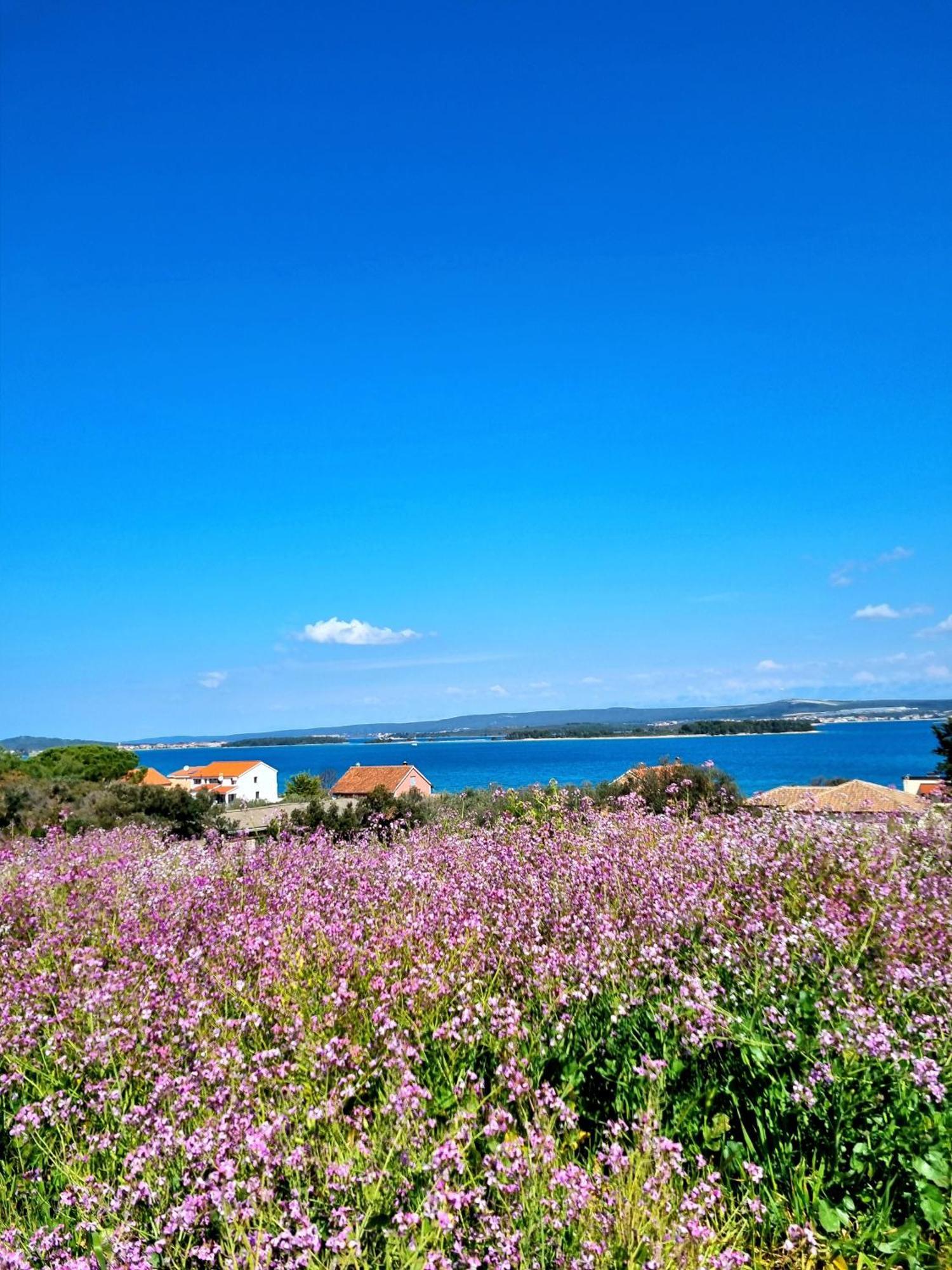 Appartement Seaview à Sveti Filip i Jakov Extérieur photo